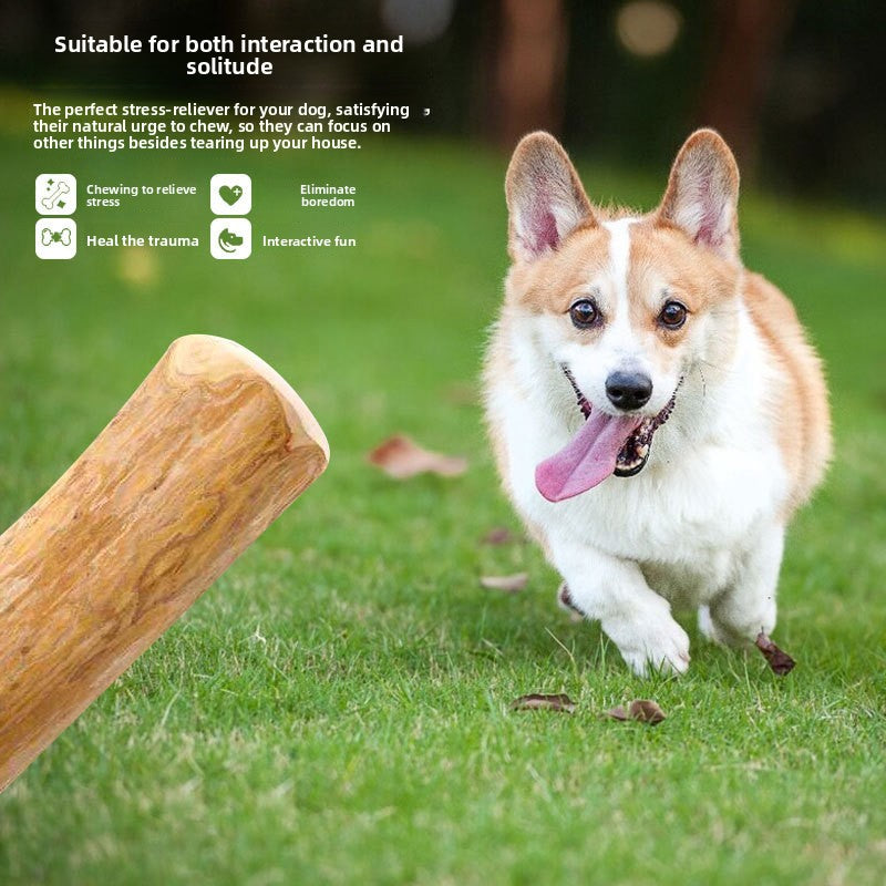 Dog Chewing Stick