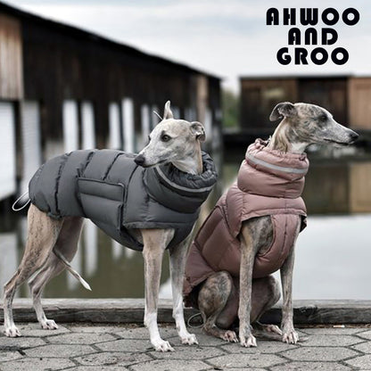 Dog clothes