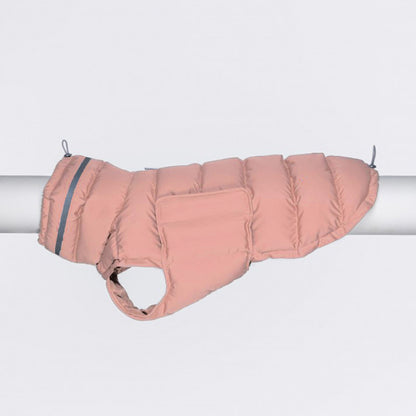 Dog clothes