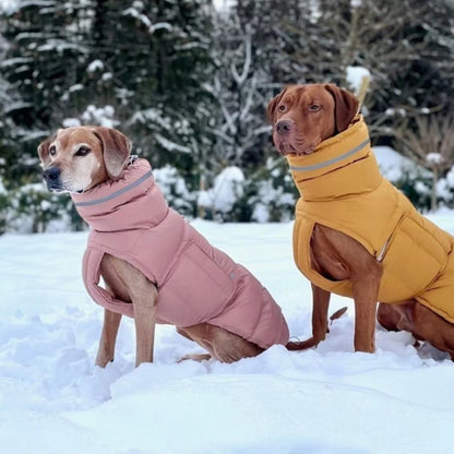 Dog clothes