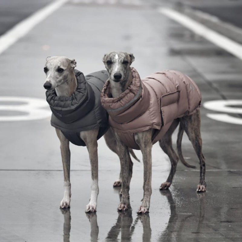 Dog clothes