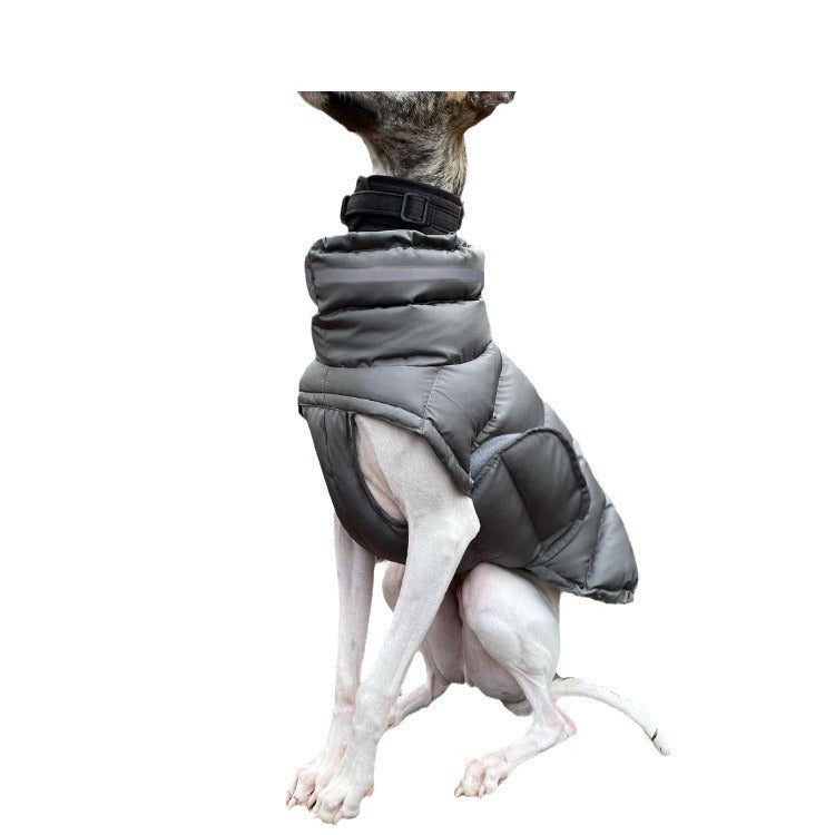 Dog clothes