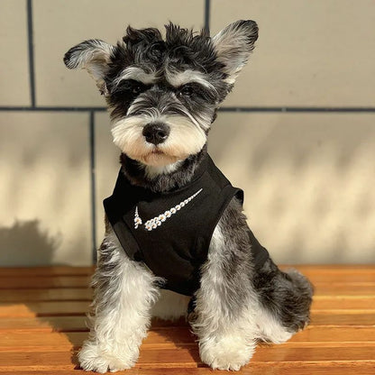Dog clothes