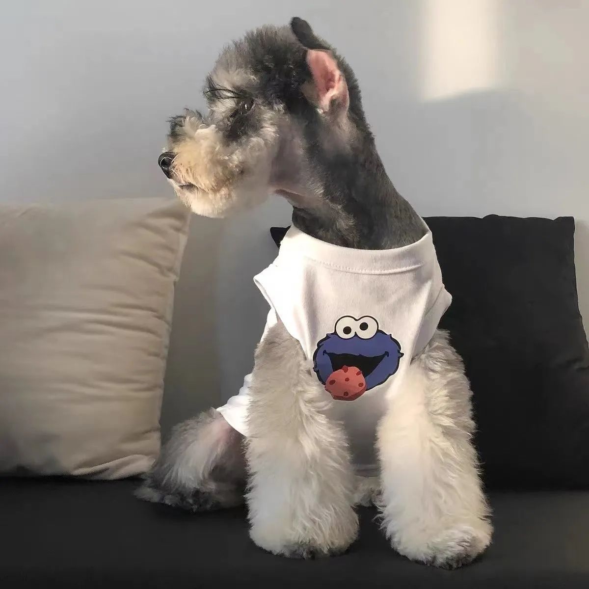 Dog clothes