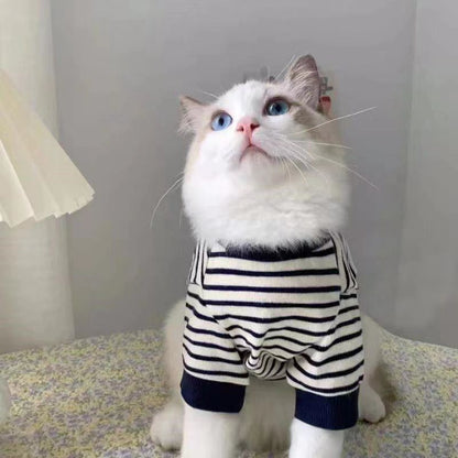 Dog clothes