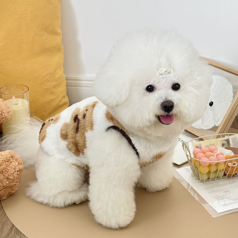 Dog Clothes