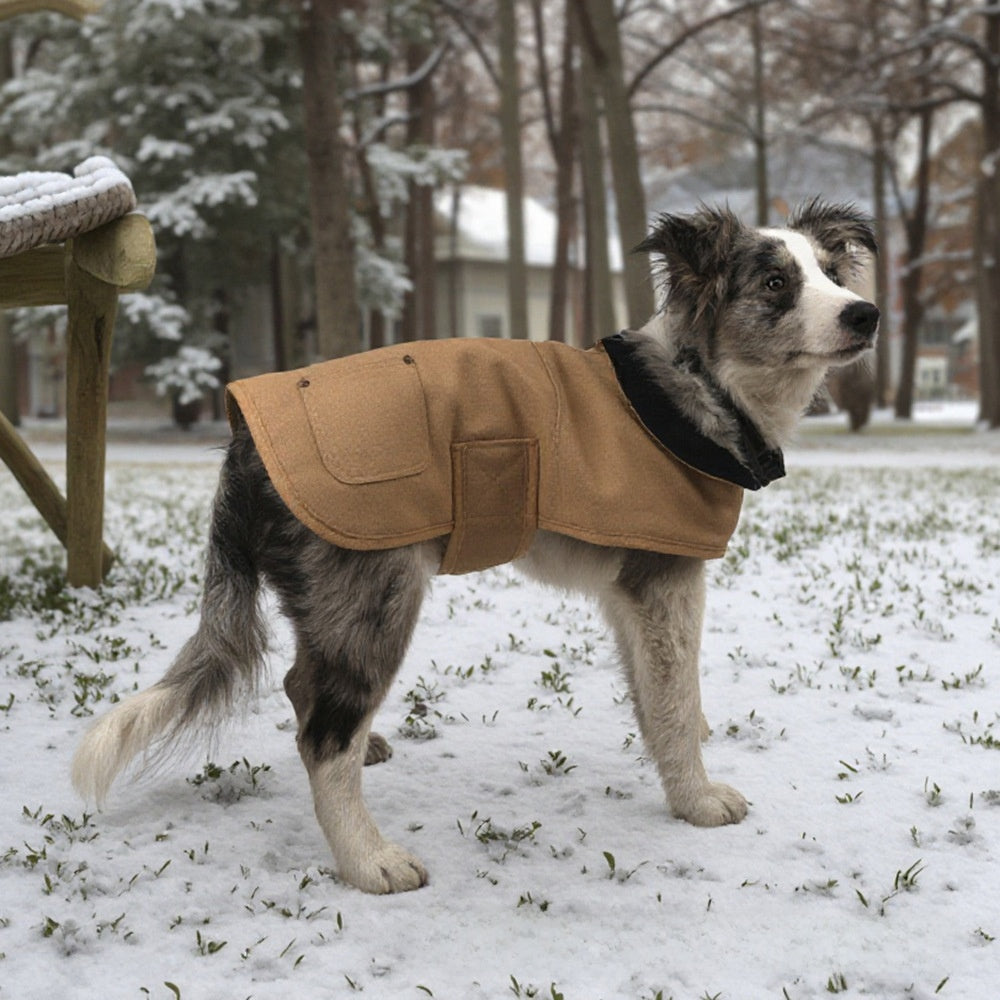 Dog Coat
