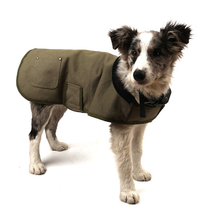 Dog Coat