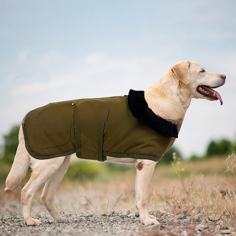Dog Coat