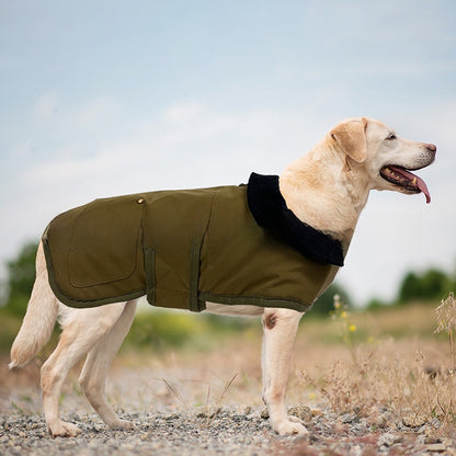 Dog Coat