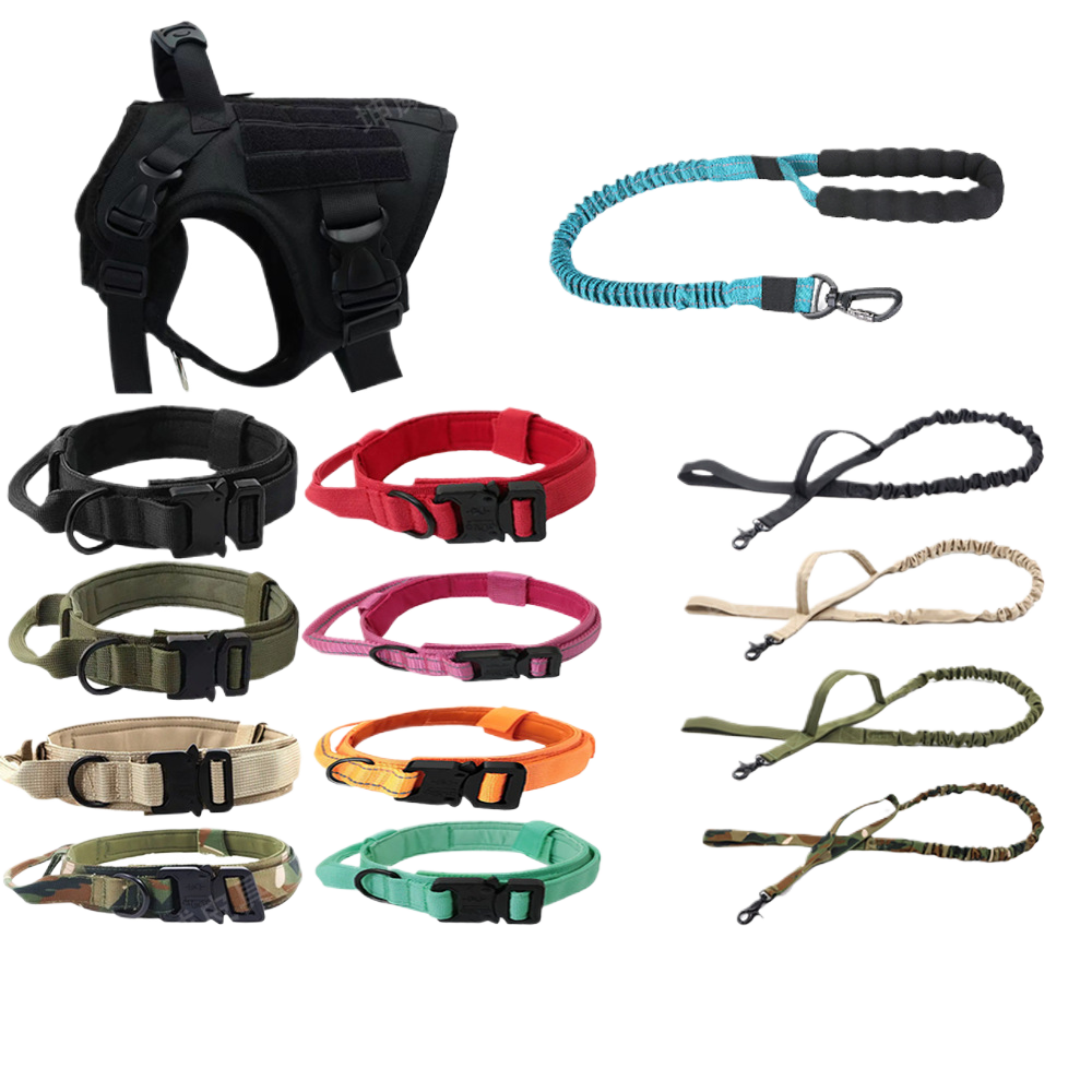 Dog collar leash