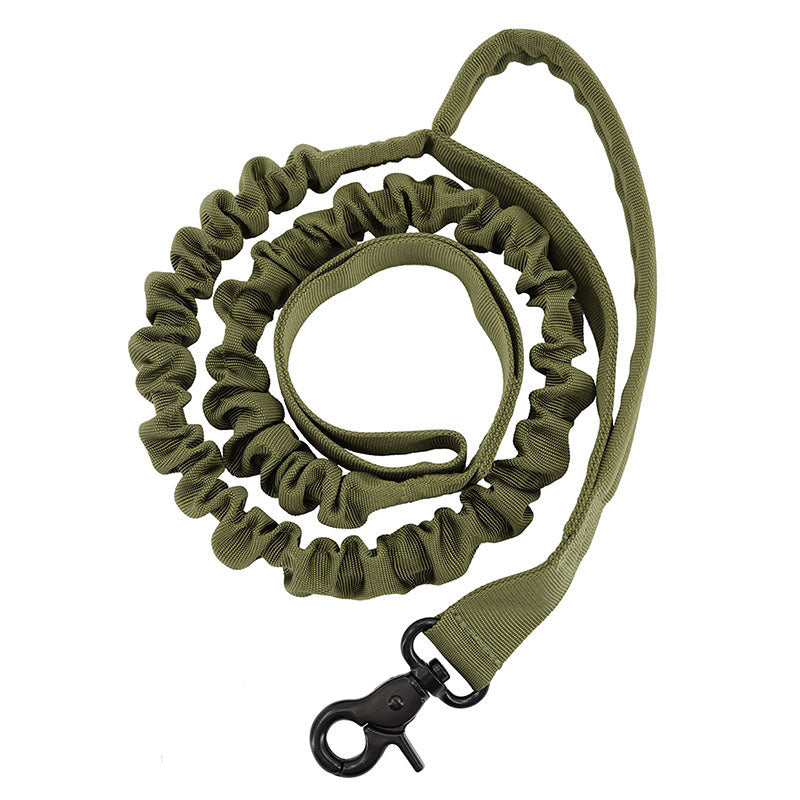 Dog collar leash