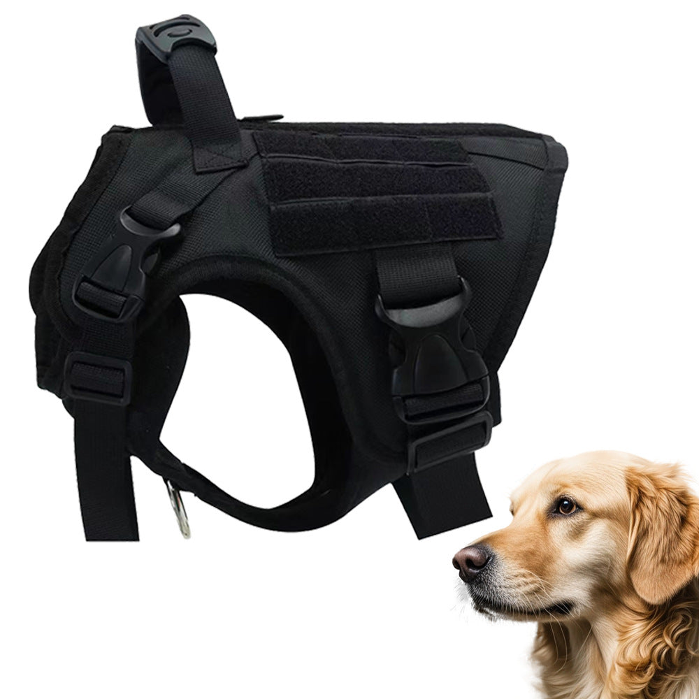 Dog collar leash
