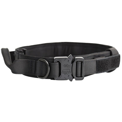 Dog collar leash