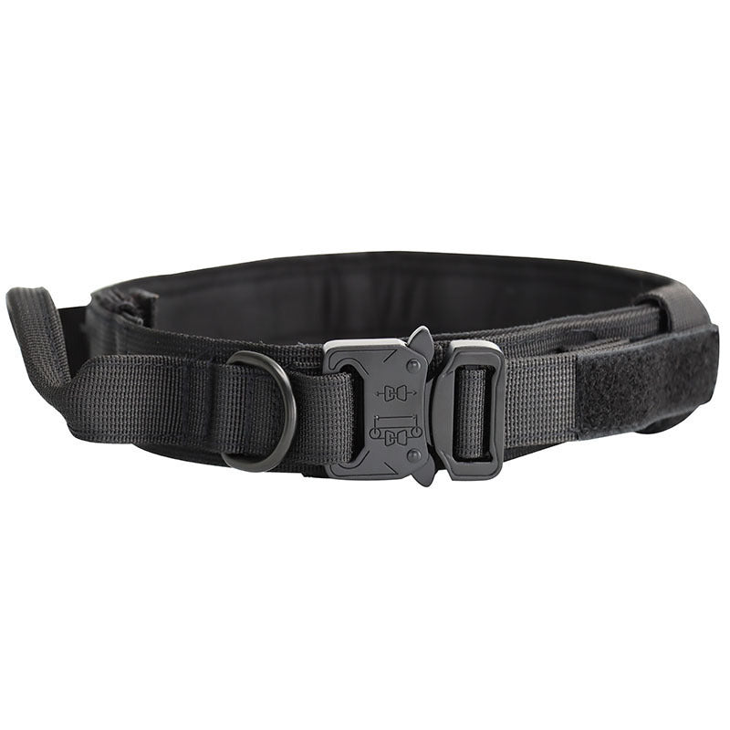 Dog collar leash