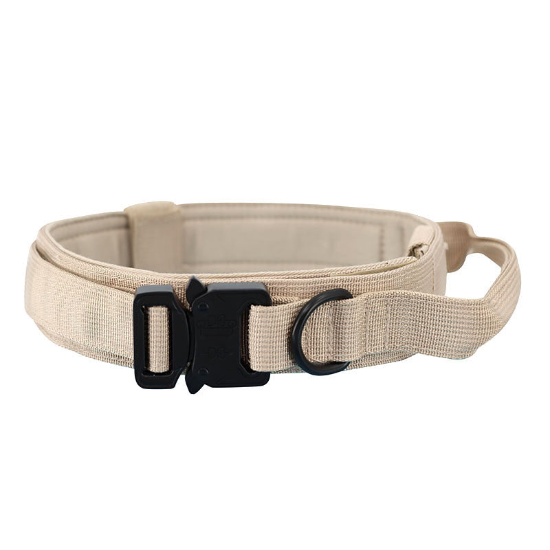 Dog collar leash