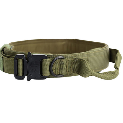 Dog collar leash