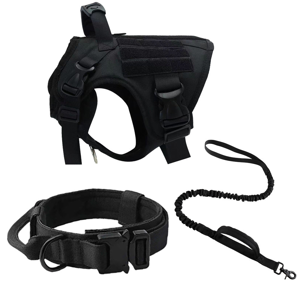Dog collar leash
