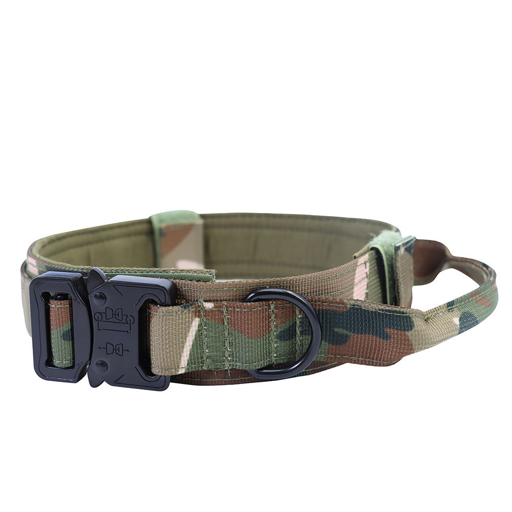 Dog collar leash