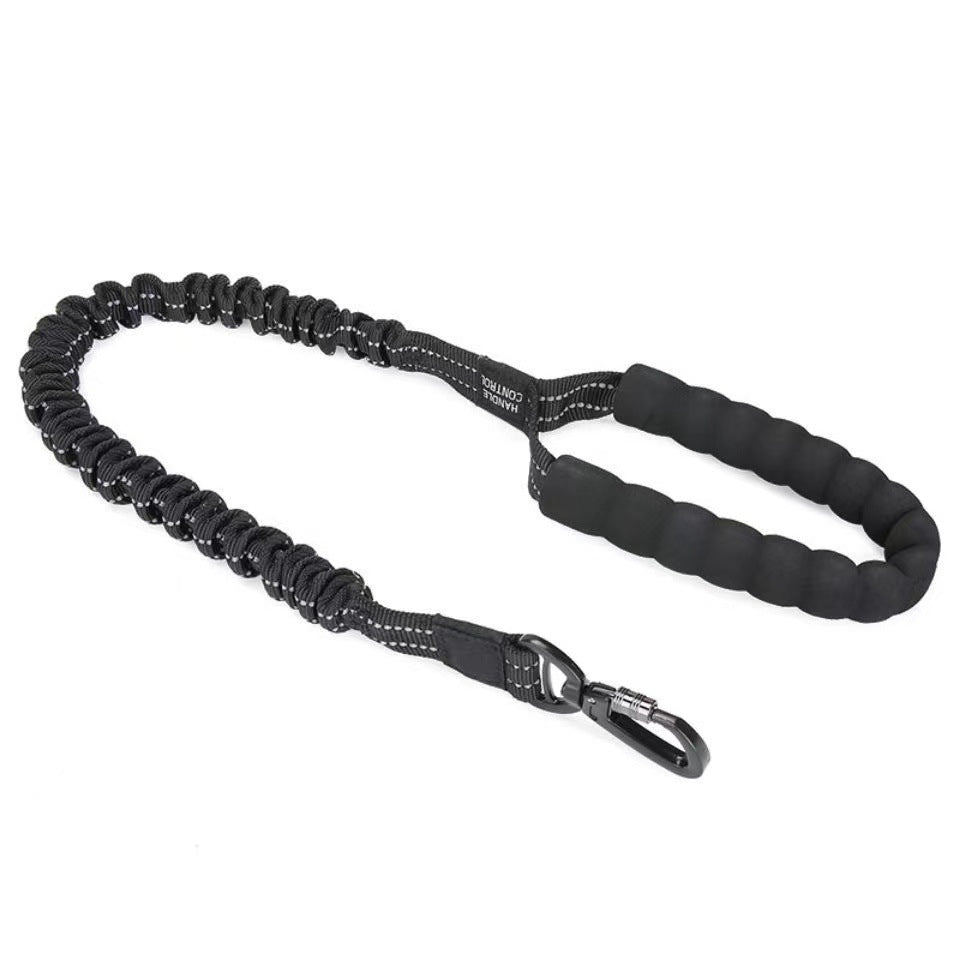 Dog collar leash