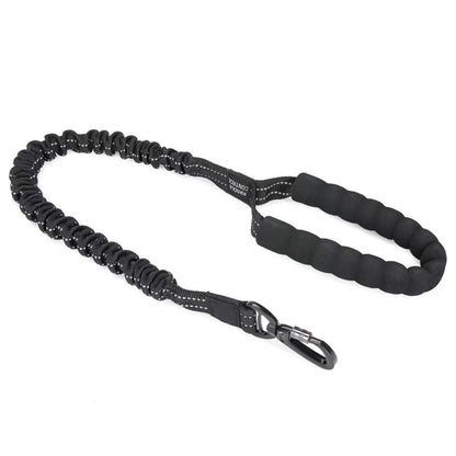 Dog collar leash