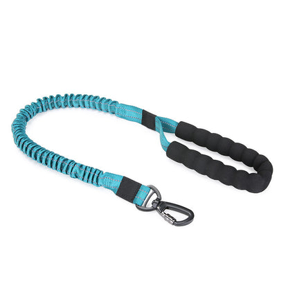 Dog collar leash