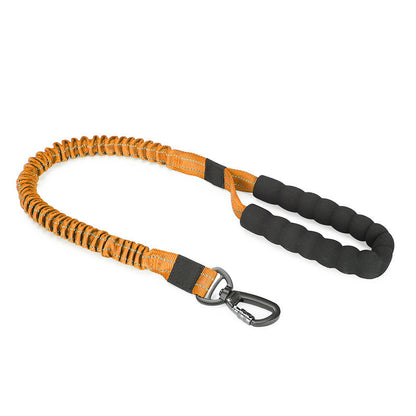 Dog collar leash