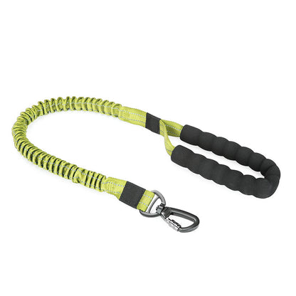 Dog collar leash
