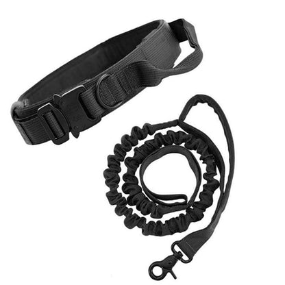 Dog collar leash
