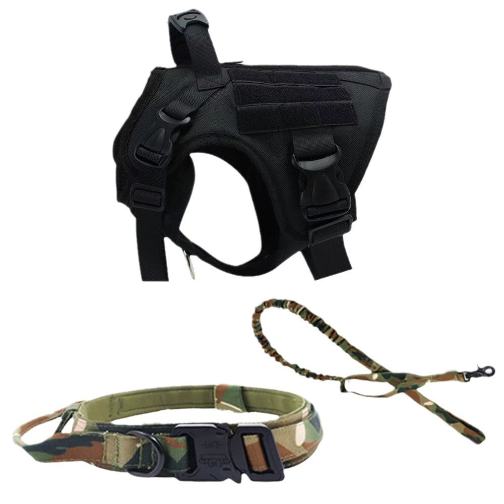 Dog collar leash