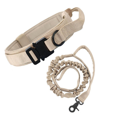 Dog collar leash
