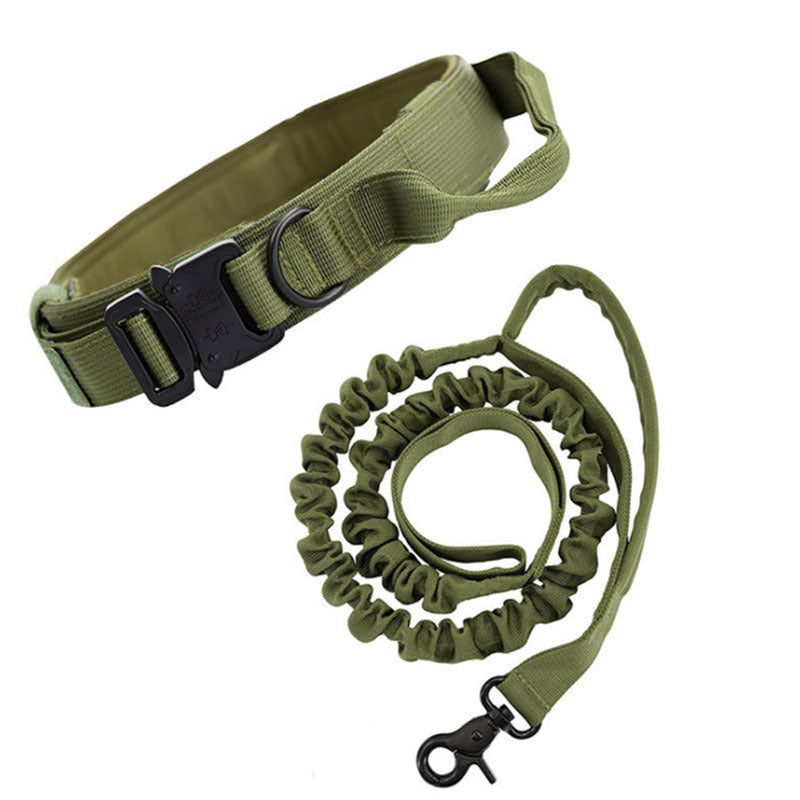 Dog collar leash