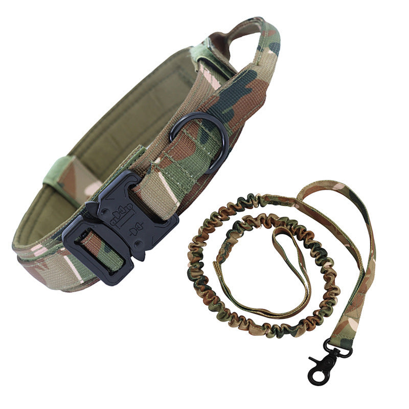 Dog collar leash