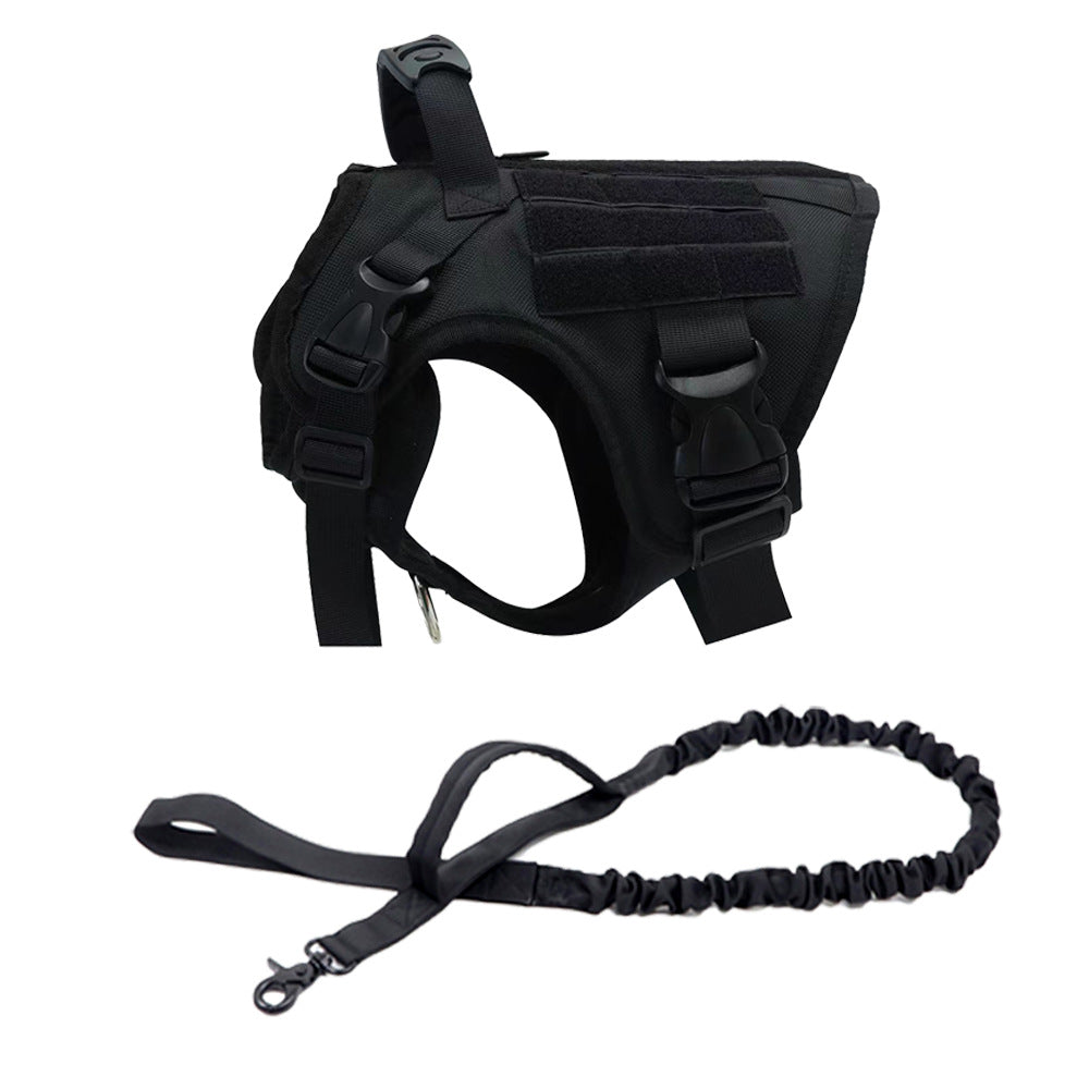 Dog collar leash