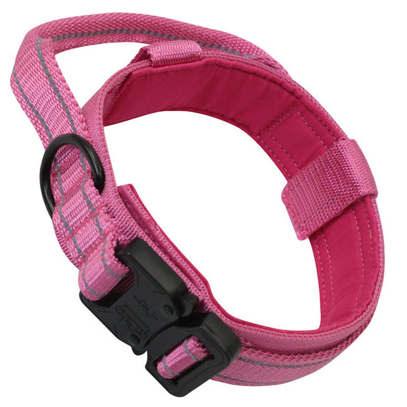 Dog collar leash