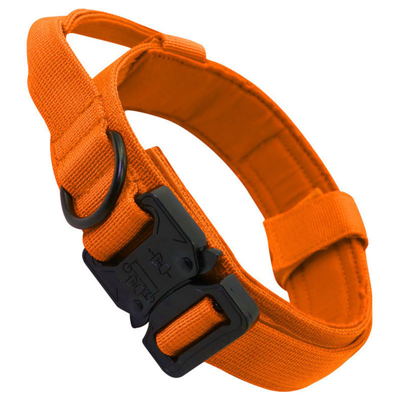 Dog collar leash