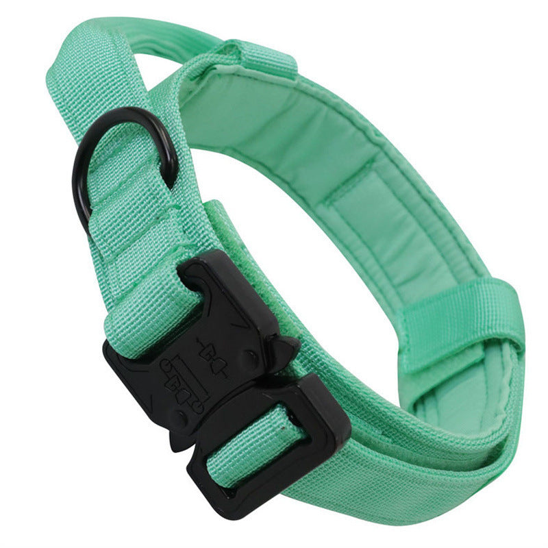 Dog collar leash