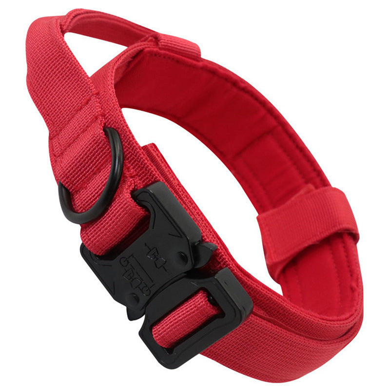 Dog collar leash