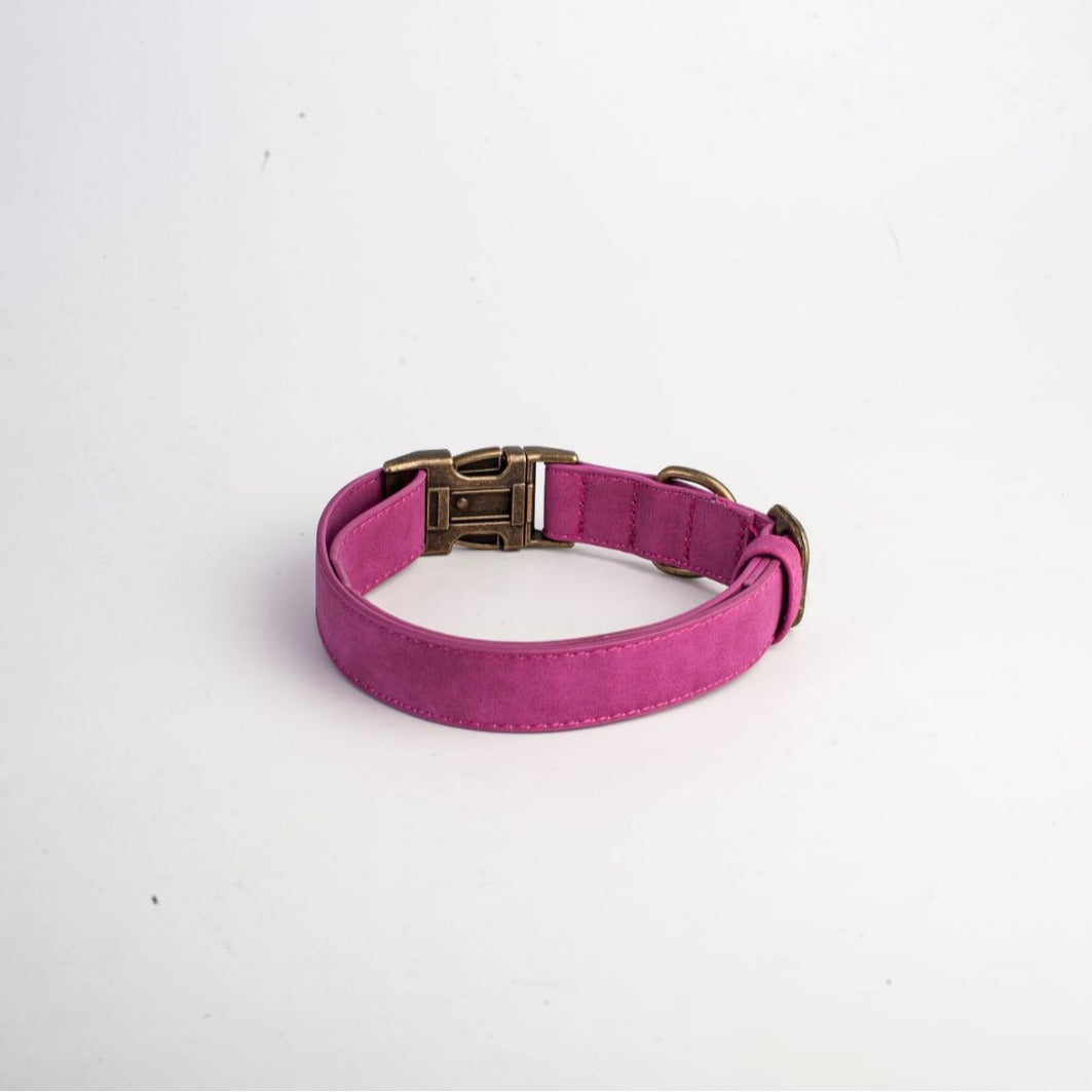 Dog Collar Leather