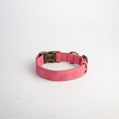 Dog Collar Leather