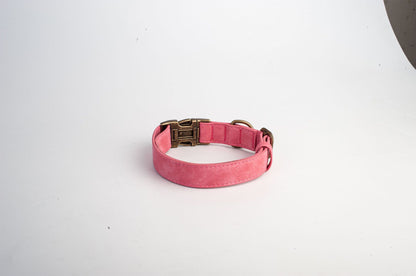 Dog Collar Leather