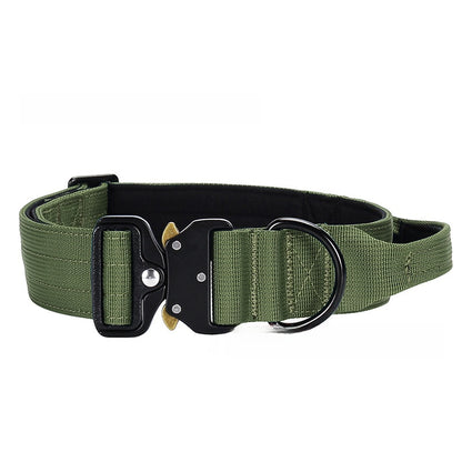 Dog Collar Nylon