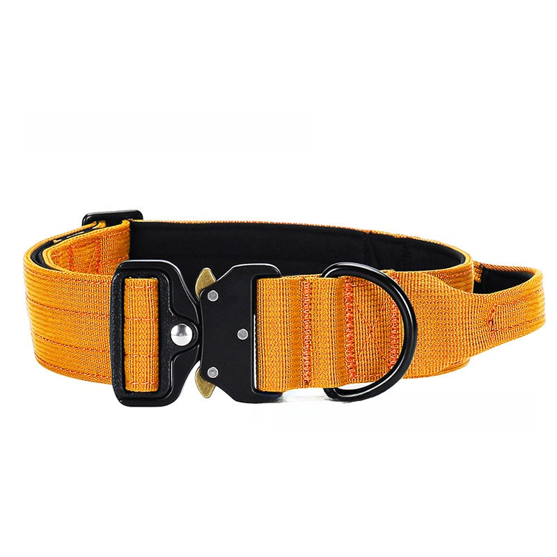 Dog Collar Nylon