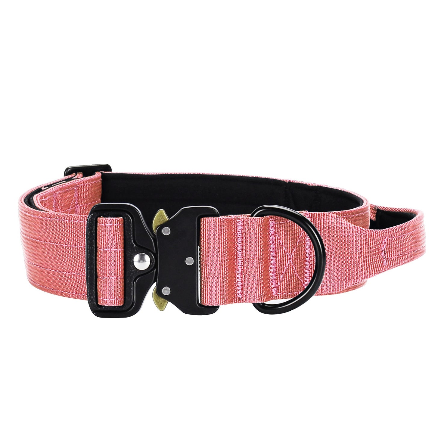 Dog Collar Nylon