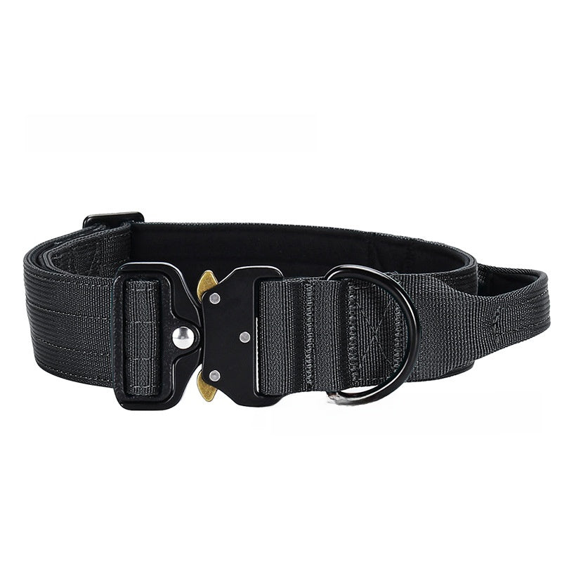 Dog Collar Nylon