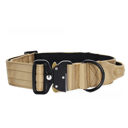 Dog Collar Nylon