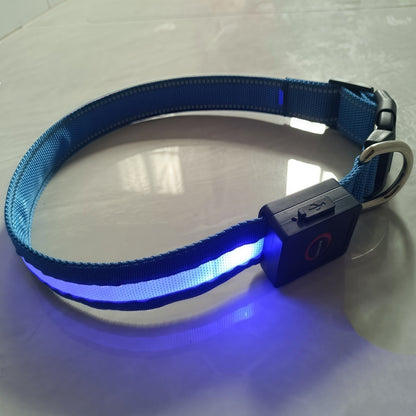 Dog Collar