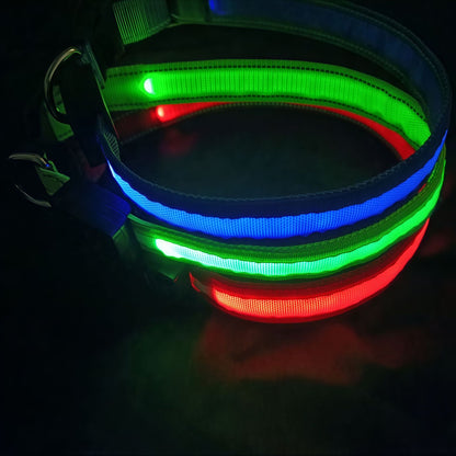 Dog Collar