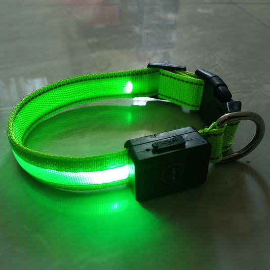 Dog Collar