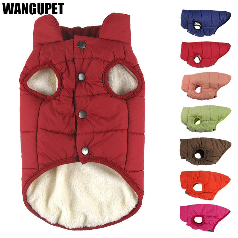 Dog cotton-padded clothes